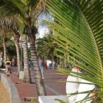 Strandpromenade Paseo de Las Canteras Las Palmas
