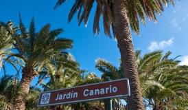 Ausflug zum Botanischen Garten Las Palmas de Gran Canaria Ausflug zum Botanischen Garten Las Palmas de Gran Canaria