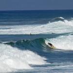 el-surf-gran-canaria-pico-del-paso3.jpg